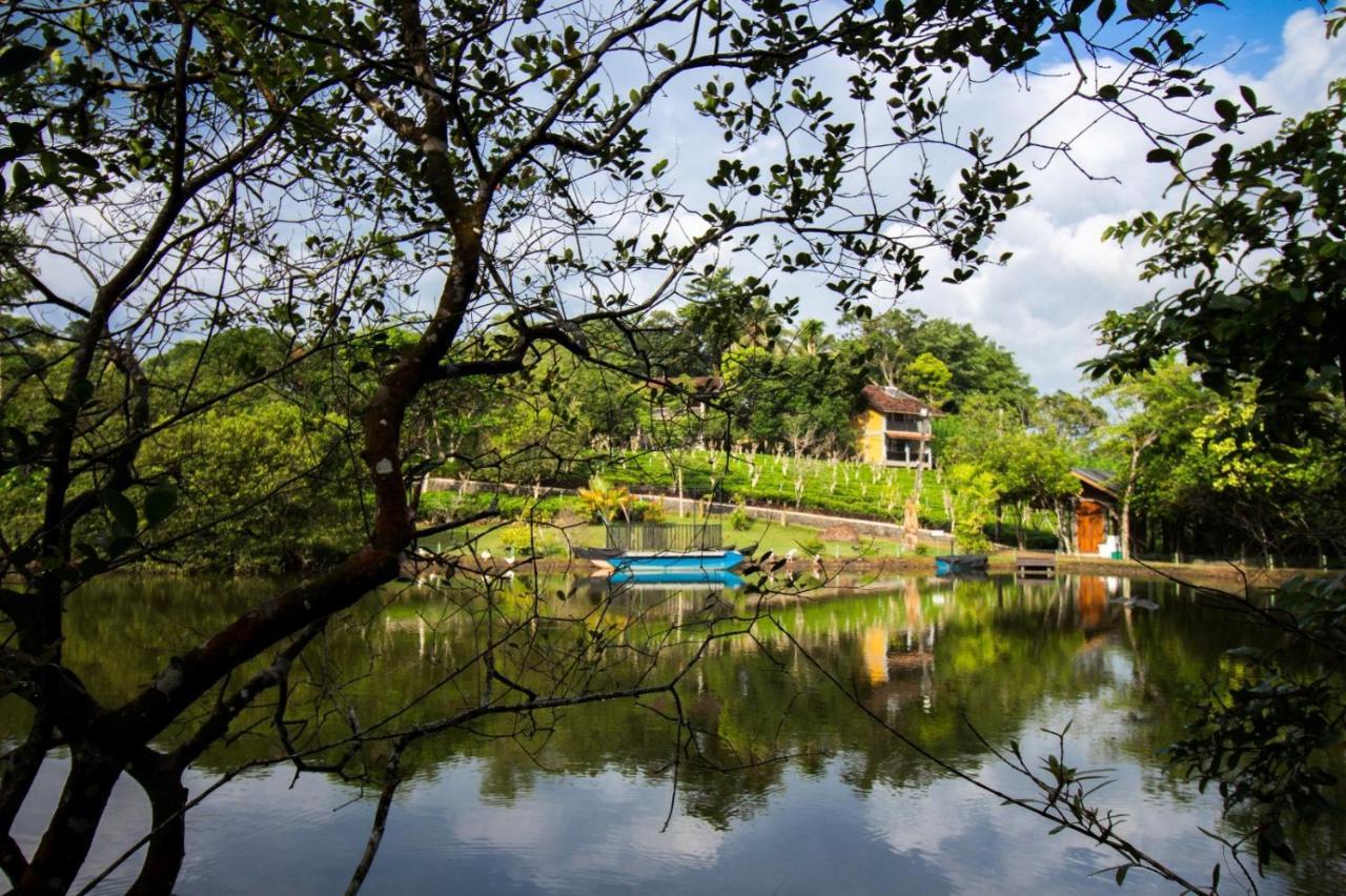 Lake Serenity Resort & Spa Kuruwita Exterior foto